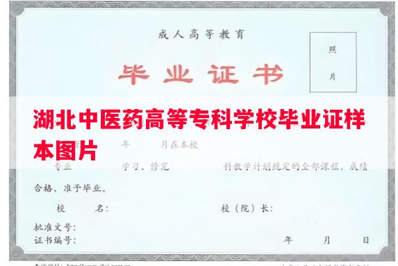 湖北中医药高等专科学校毕业证样本图片