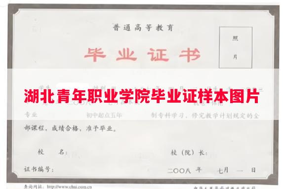 湖北青年职业学院毕业证样本图片