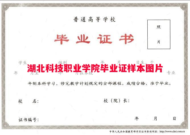 湖北科技职业学院毕业证样本图片