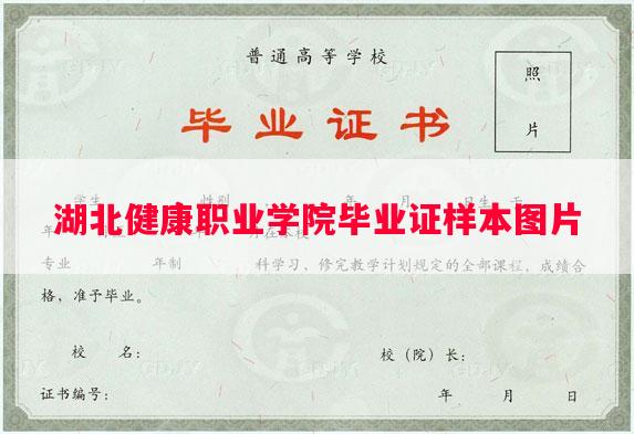 湖北健康职业学院毕业证样本图片