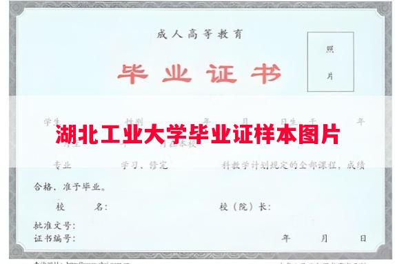 湖北工业大学毕业证样本图片