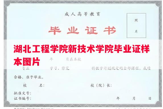 湖北工程学院新技术学院毕业证样本图片