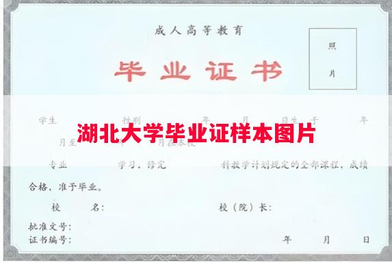 湖北大学毕业证样本图片