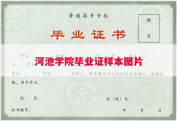 河池学院毕业证样本图片