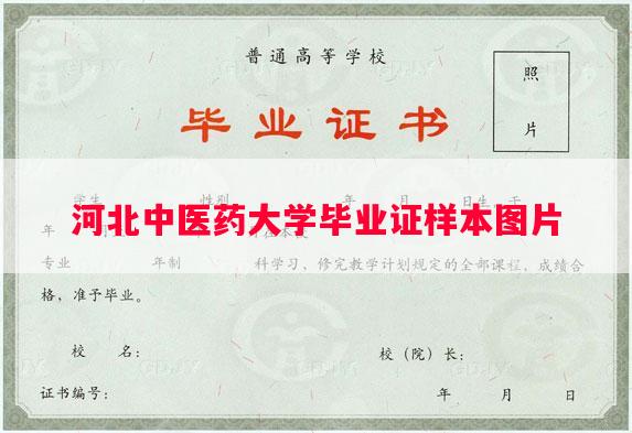 河北中医药大学毕业证样本图片
