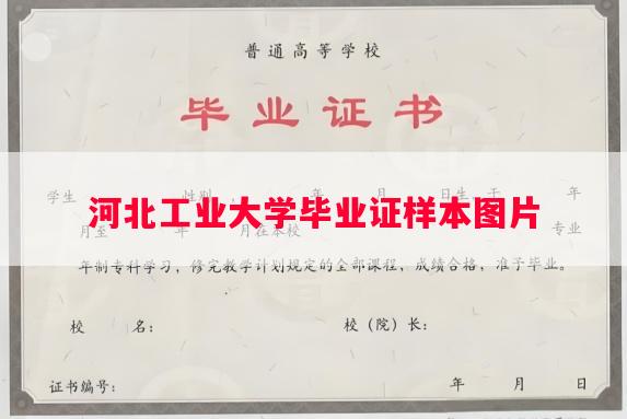 河北工业大学毕业证样本图片