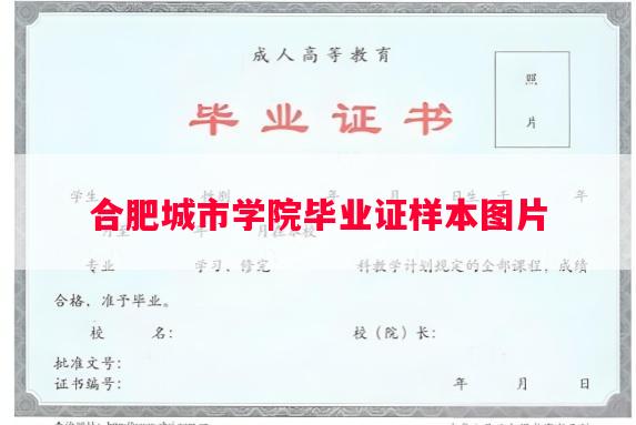合肥城市学院毕业证样本图片
