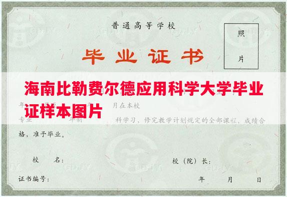 海南比勒费尔德应用科学大学毕业证样本图片