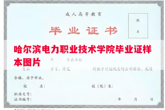 哈尔滨电力职业技术学院毕业证样本图片