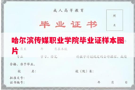 哈尔滨传媒职业学院毕业证样本图片