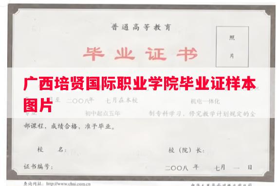 广西培贤国际职业学院毕业证样本图片