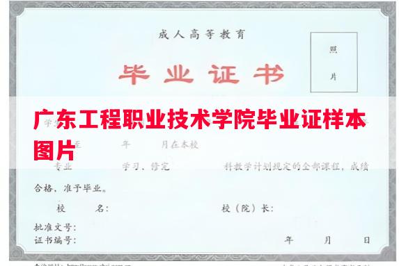 广东工程职业技术学院毕业证样本图片