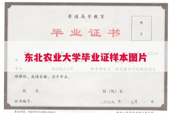 东北农业大学毕业证样本图片