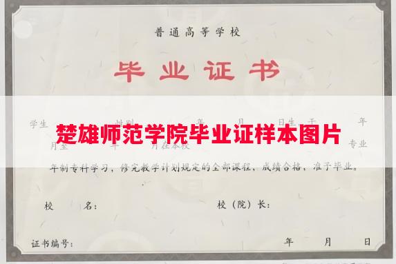 楚雄师范学院毕业证样本图片