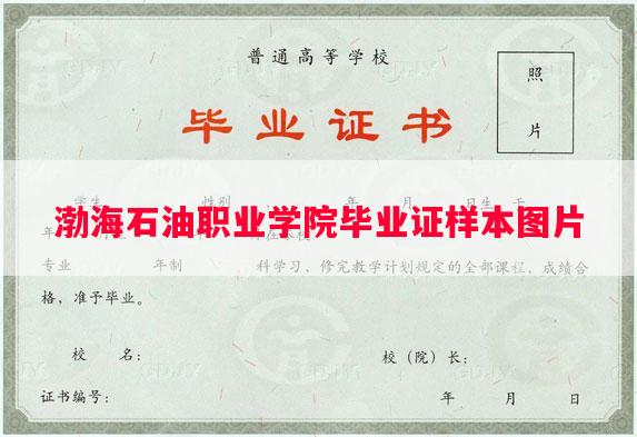 渤海石油职业学院毕业证样本图片