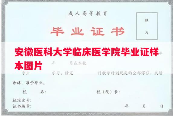 安徽医科大学临床医学院毕业证样本图片