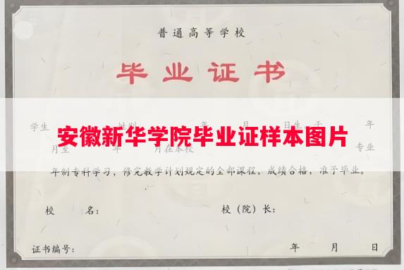 安徽新华学院毕业证样本图片