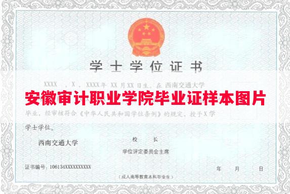 安徽审计职业学院毕业证样本图片