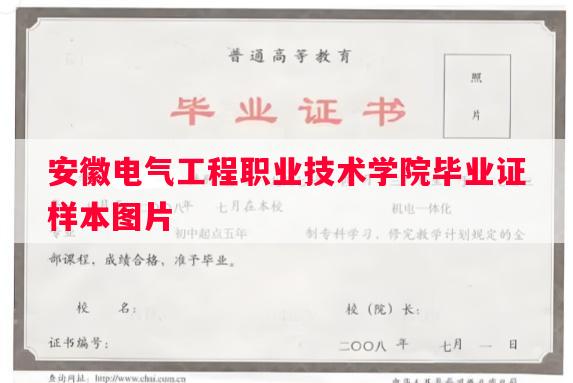 安徽电气工程职业技术学院毕业证样本图片