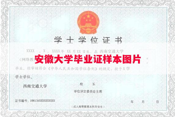 安徽大学毕业证样本图片