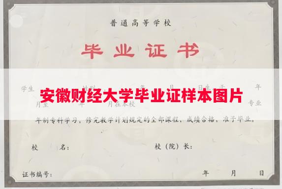 安徽财经大学毕业证样本图片