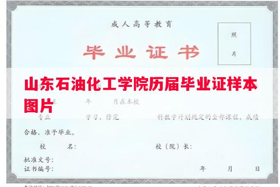 山东石油化工学院历届毕业证样本图片 山东石油化工学院历届毕业证样本图片