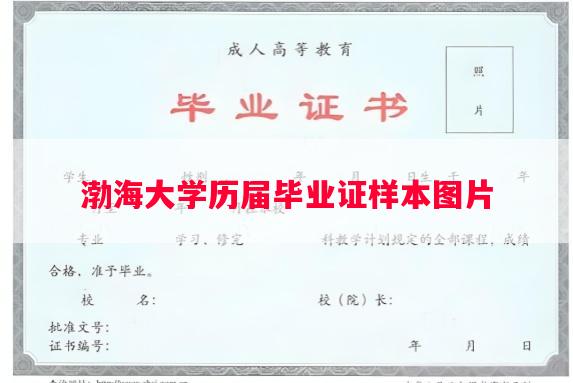 渤海大学历届毕业证样本图片