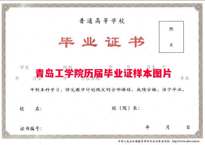 青岛工学院历届毕业证样本图片