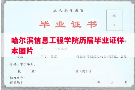 哈尔滨信息工程学院历届毕业证样本图片