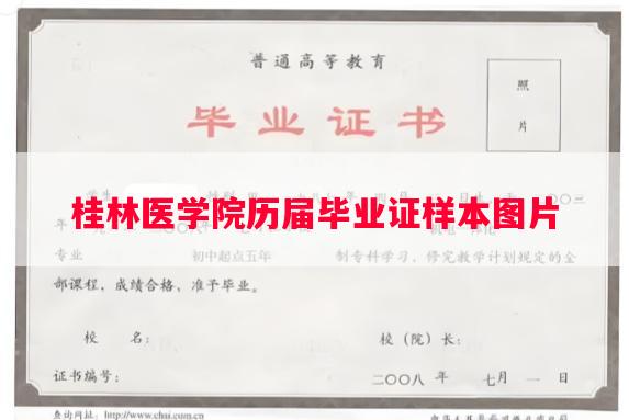 桂林医学院历届毕业证样本图片