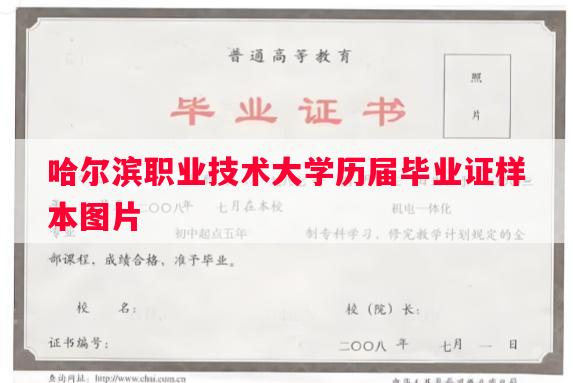 哈尔滨职业技术大学历届毕业证样本图片
