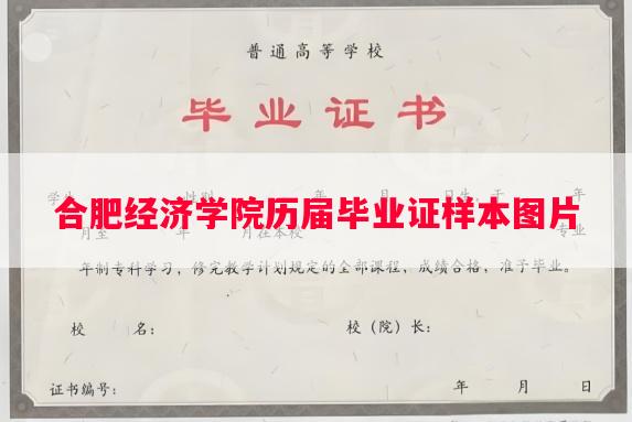 合肥经济学院历届毕业证样本图片