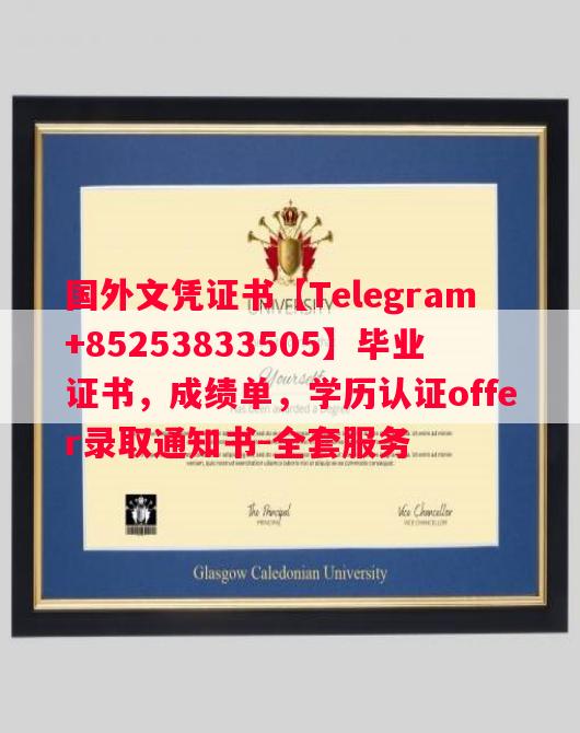 爱尔兰都柏林城市大学毕业证书样本成绩单